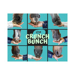 Tummy Antacid Crunchies