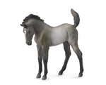 Breyer CollectA Grulla Mustang Foal