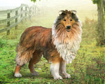 Breyer CollectA | Rough Collie