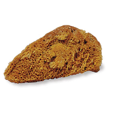 small natural sponge