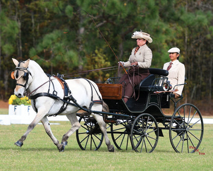 Sweetwater's Zorah Belle