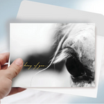 thinking of you gray horse