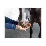 Tummy Antacid Crunchies