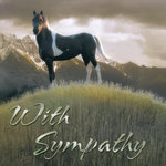 with sympathy black and white horse