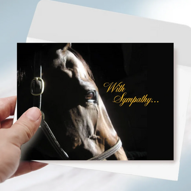 with sympathy card