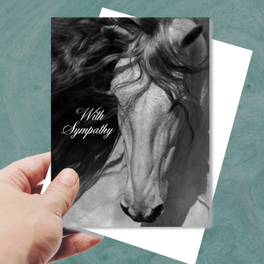 with sympathy gray horse