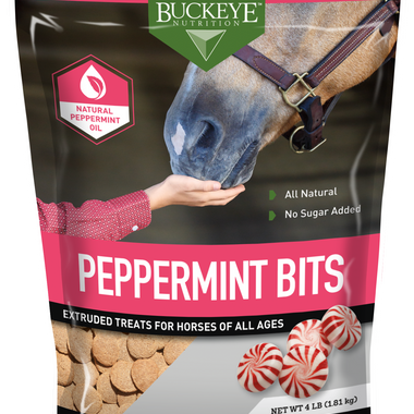 Peppermint Bits