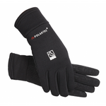 All Sport Polartec Winter Glove