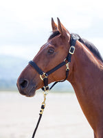 Topaz Leather Breakaway Nylon Halter
