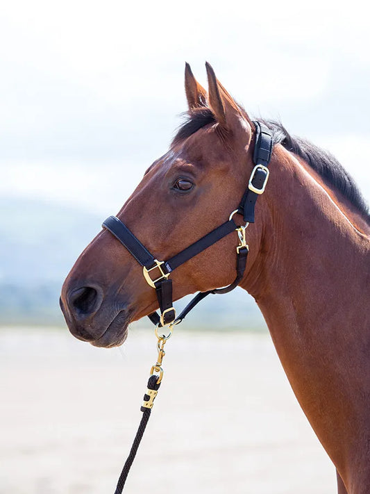 Topaz Leather Breakaway Nylon Halter