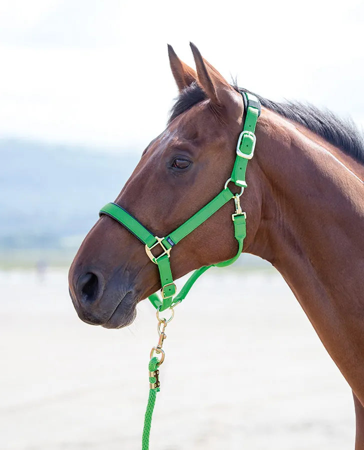Topaz Leather Breakaway Nylon Halter