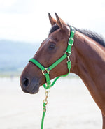 Topaz Leather Breakaway Nylon Halter