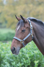 Topaz Leather Breakaway Nylon Halter