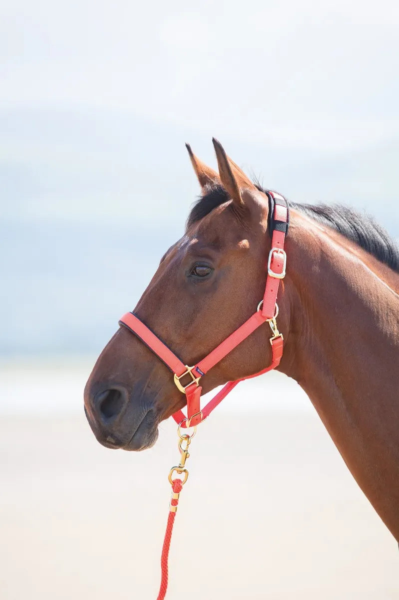Topaz Leather Breakaway Nylon Halter