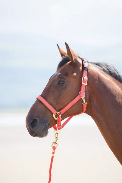 Topaz Leather Breakaway Nylon Halter