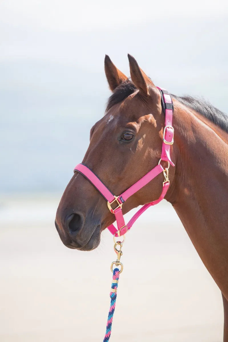Topaz Leather Breakaway Nylon Halter