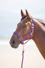 Topaz Leather Breakaway Nylon Halter