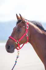 Topaz Leather Breakaway Nylon Halter
