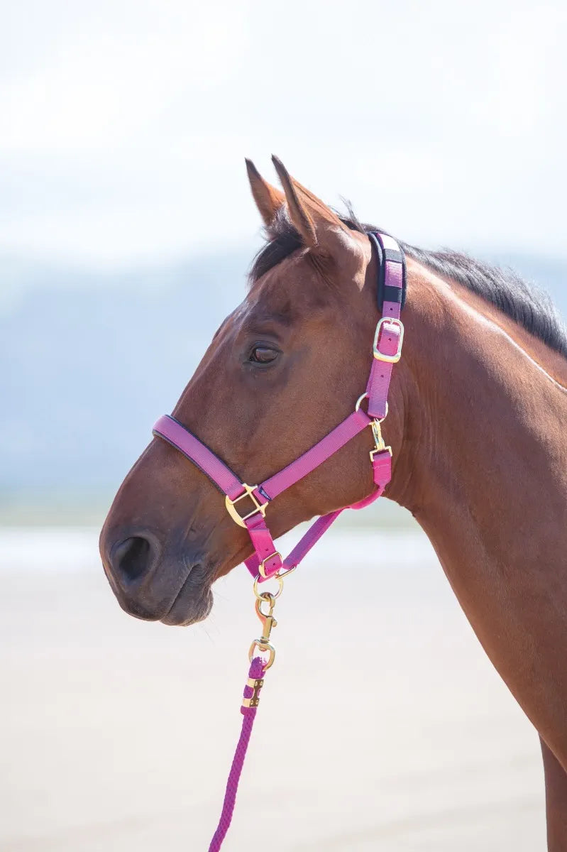 Topaz Leather Breakaway Nylon Halter