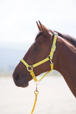 Topaz Leather Breakaway Nylon Halter