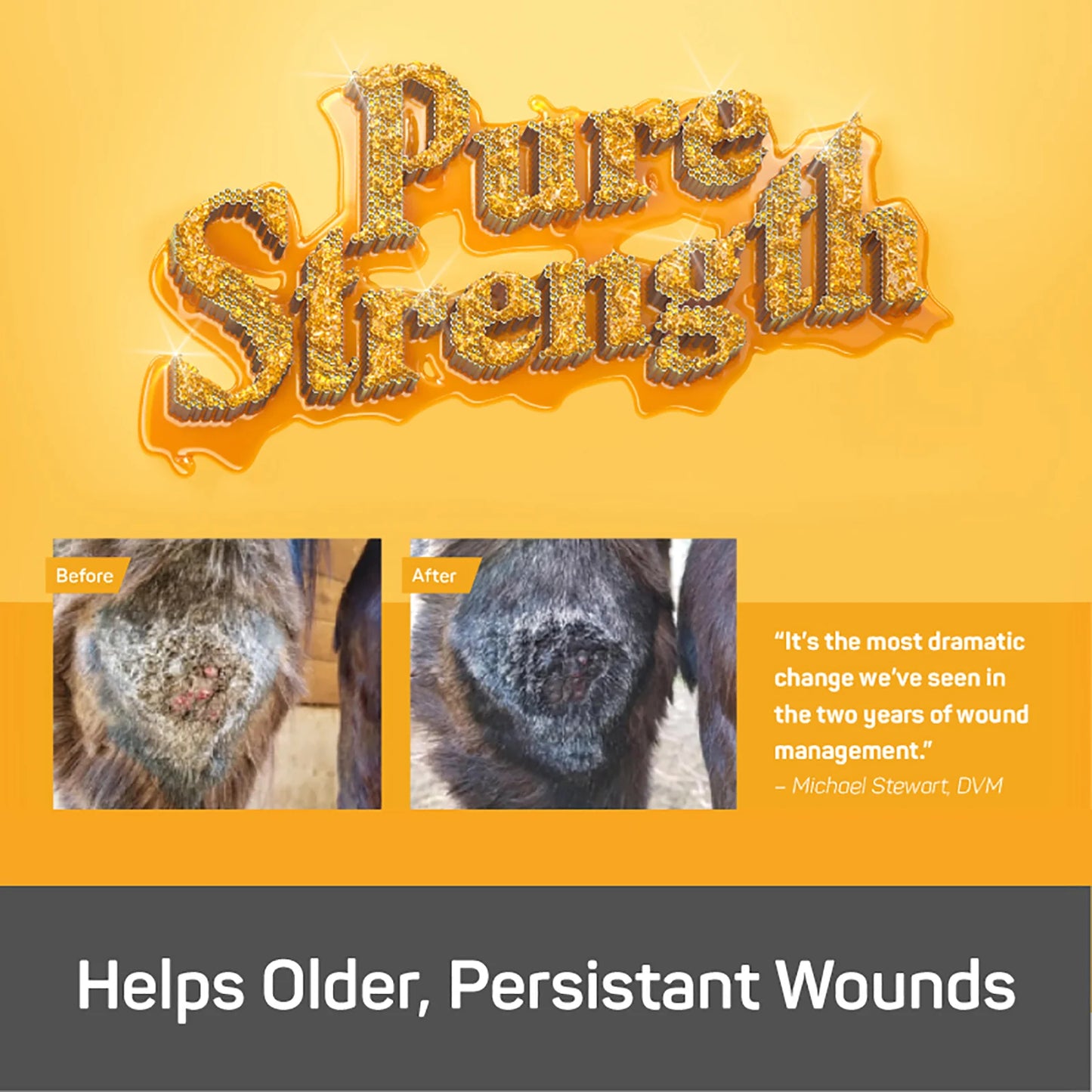 Silver Honey® Rapid Wound Repair