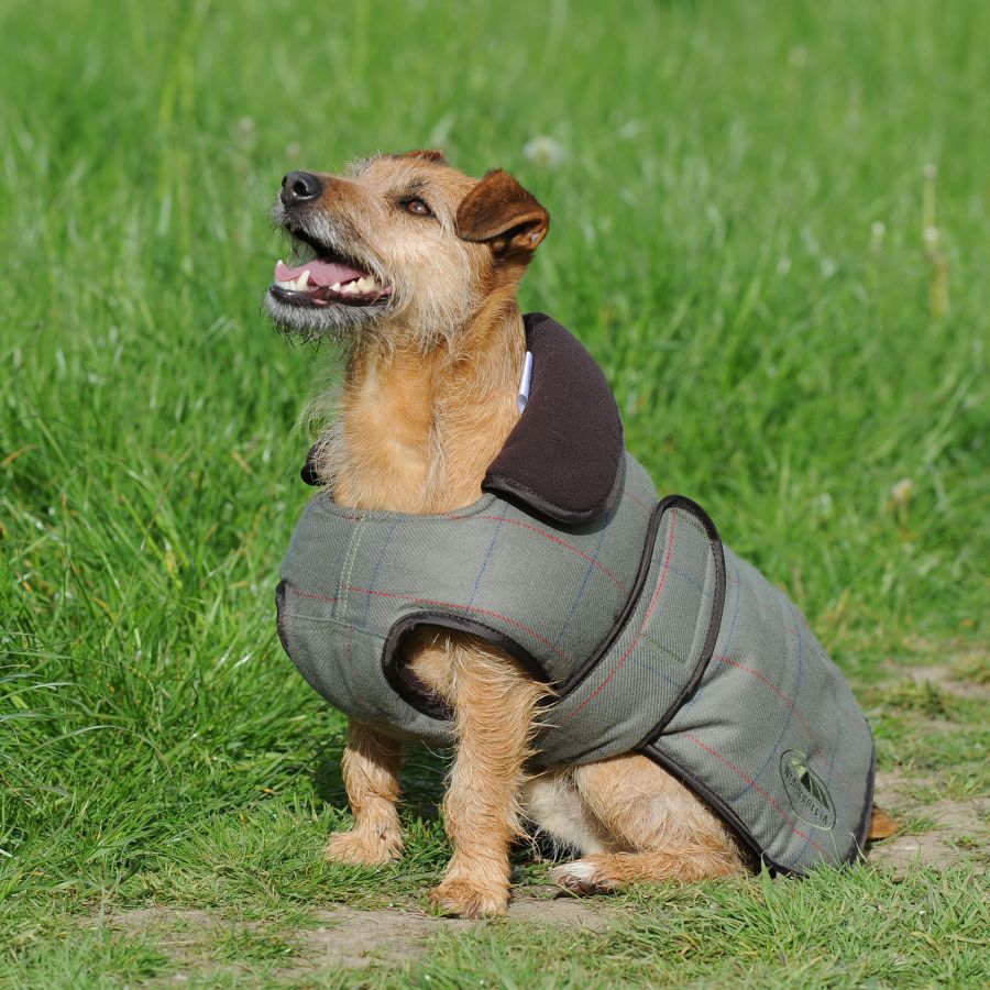Weatherbeeta Tweed Dog Coat