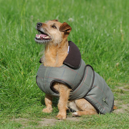 Weatherbeeta Tweed Dog Coat