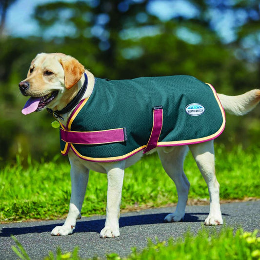 Weatherbeeta Parka 1200D Dog Coat