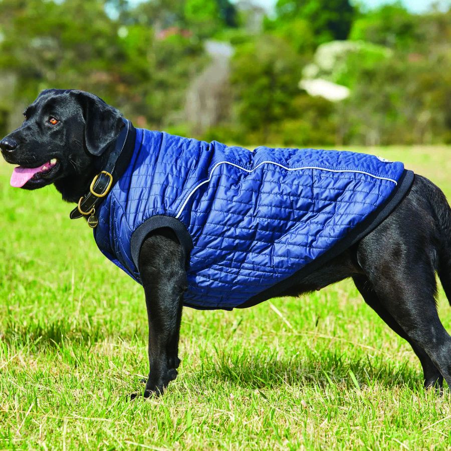 Weatherbeeta Puffer Dog Coat