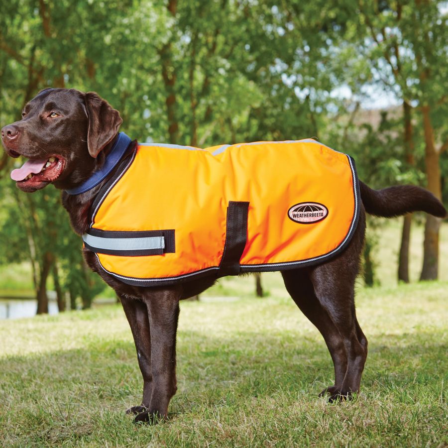 Weatherbeeta Reflective Parka 300D Dog Rug