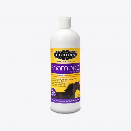 Corona® Concentrated Shampoo