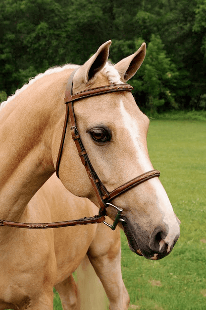 Imperial Bridle with Raised Fancy Laced Reins