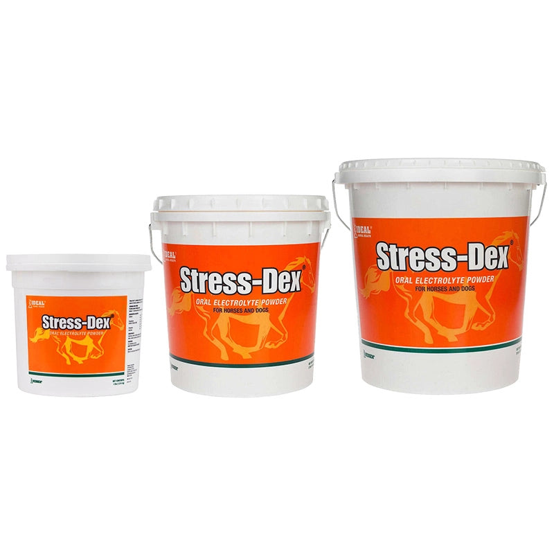 Stress-Dex Electrolyte Powder