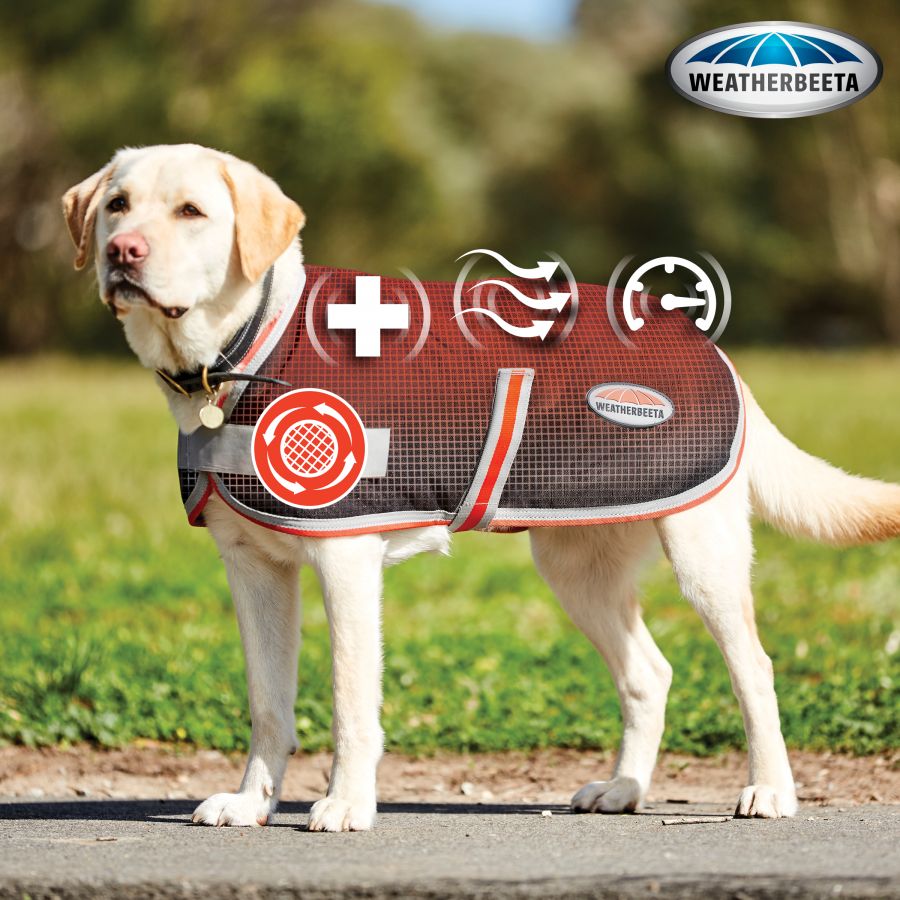 WeatherBeeta ComFiTec 1200D Therapy-Tec Dog Coat