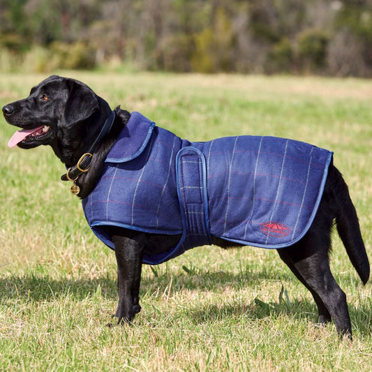 Weatherbeeta Tweed Dog Coat