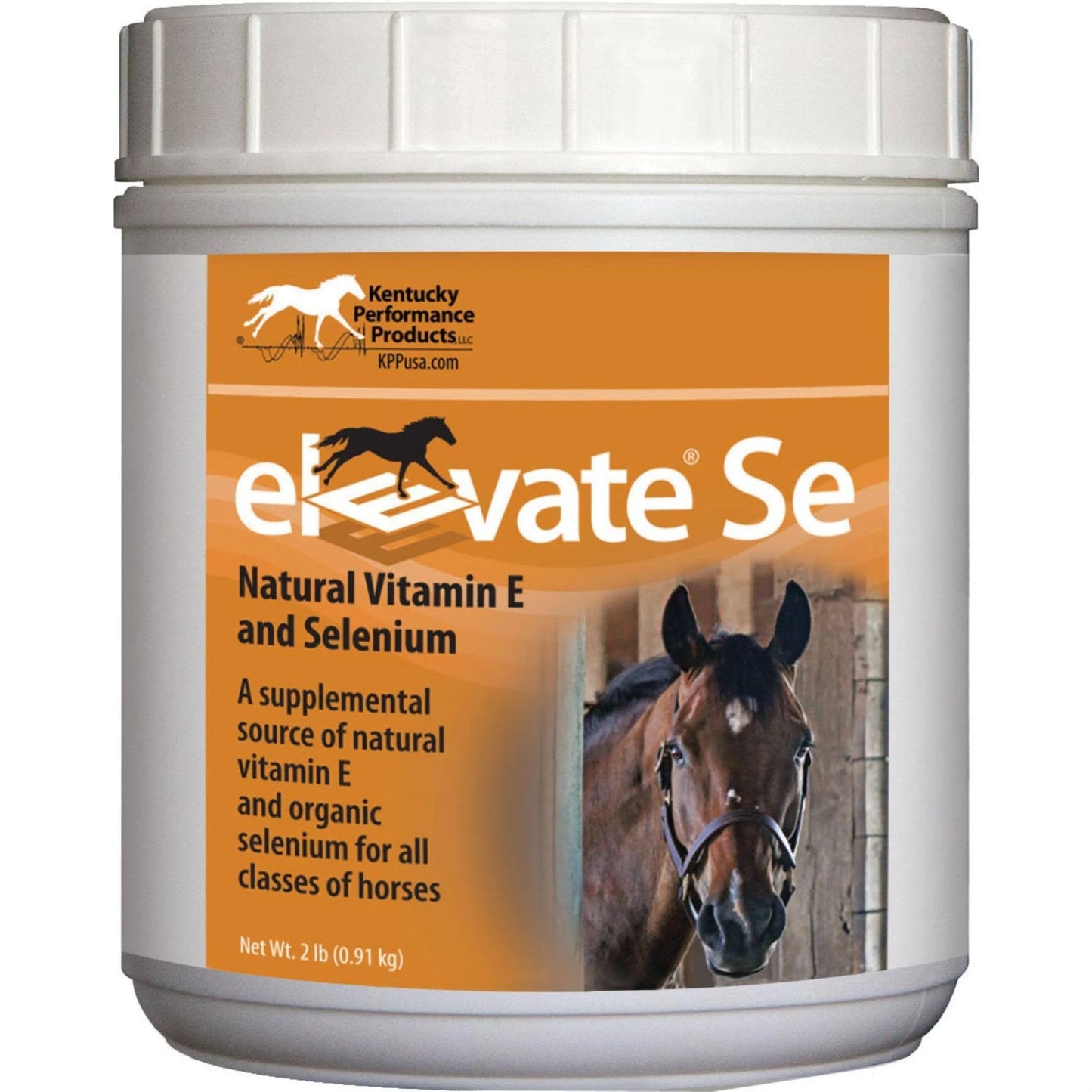 Elevate SE Maintenance Powder