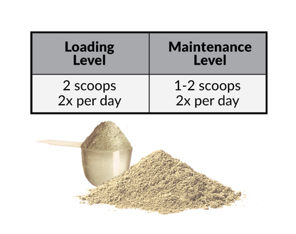 Perfect Prep EQ™ Training Day Powder